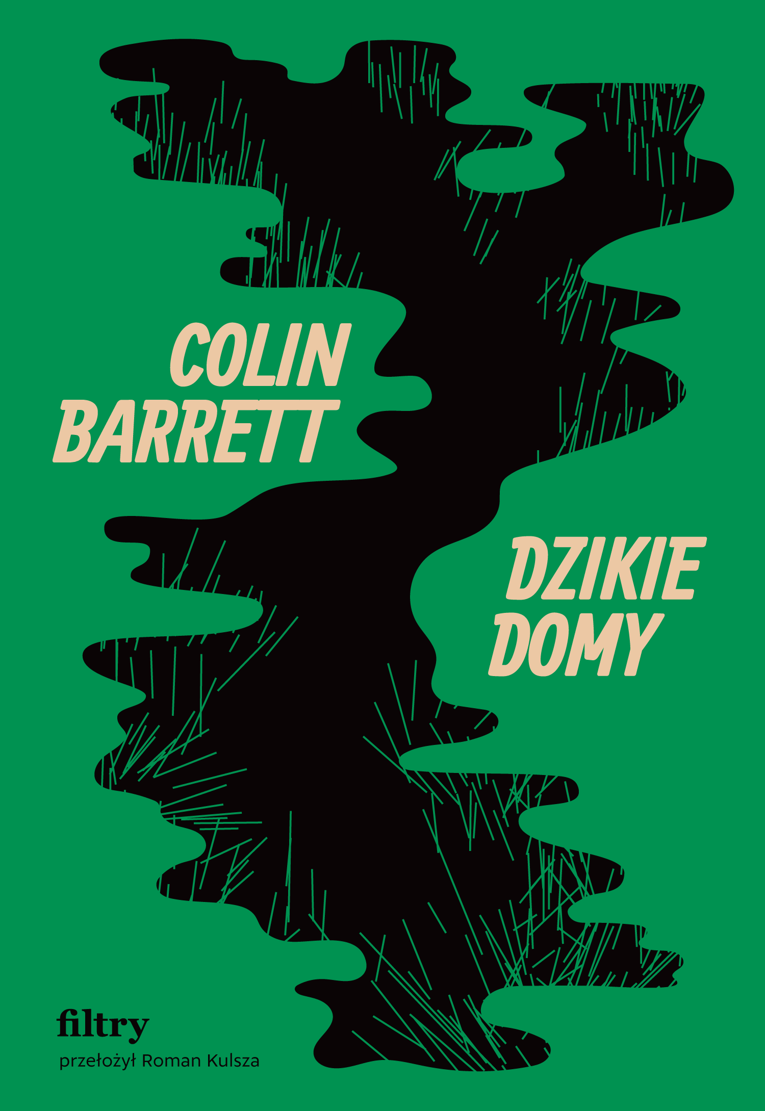 Tytuł: Dzikie domy
Autor: Colin Barrett
Wydawnictwo: Wydawnictwo Filtry
Formaty: EPUB, MOBI