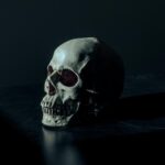Tytuł: ラドスワフ・ブドキェヴィッチ
Autor: Radosław Budkiewicz
Wydawnictwo: Wydawnictwo e-bookowo
Formaty: MOBI, EPUB, PDF