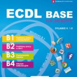Tytuł: ECDL Base na skróty. Syllabus v. 1.0
Autor: Alicja Żarowska-Mazur, Waldemar Węglarz
Wydawnictwo: Wydawnictwo Naukowe PWN
Formaty: EPUB, MOBI