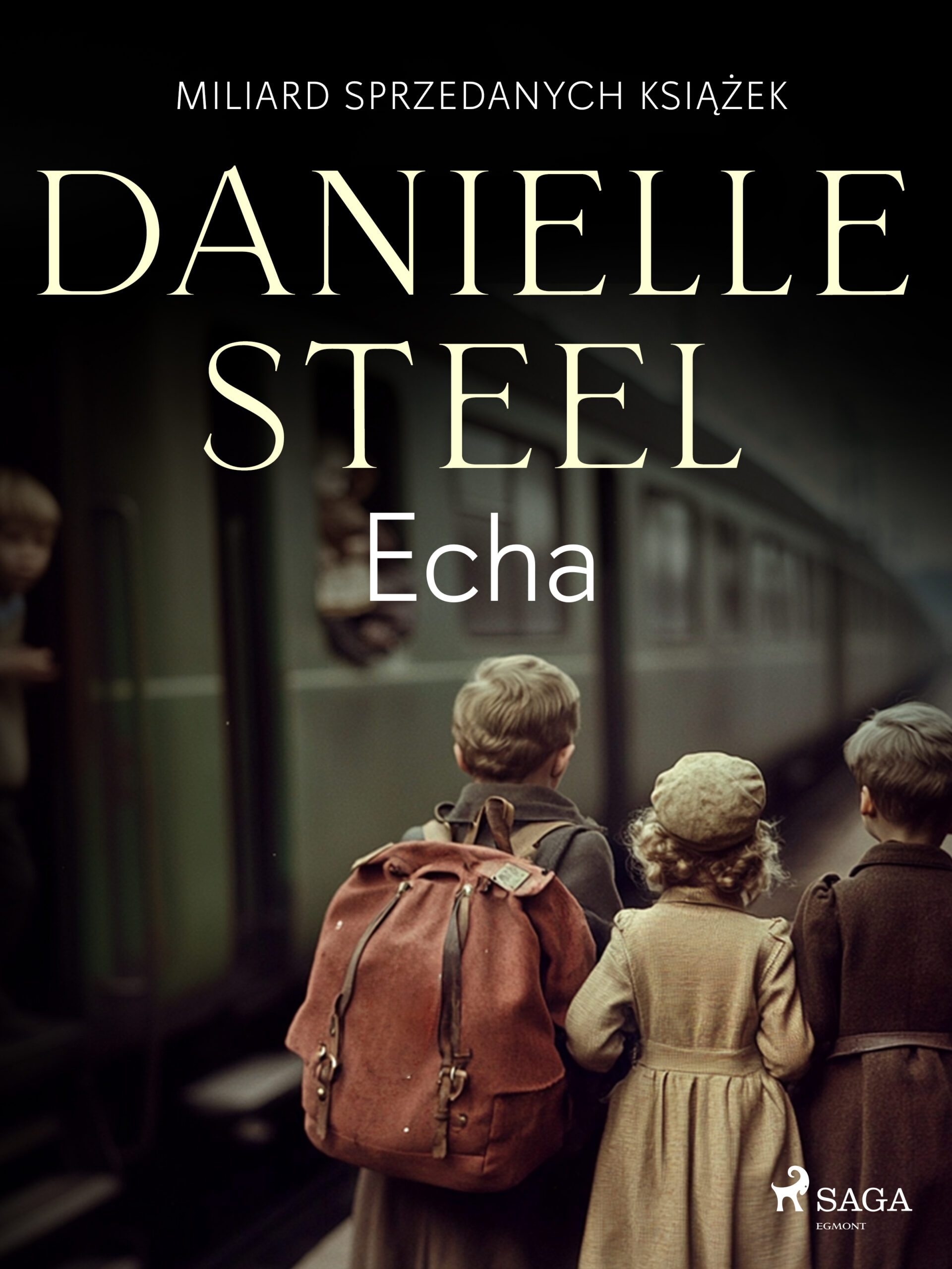 Tytuł: Echa
Autor: Danielle Steel
Wydawnictwo: SAGA Egmont
Formaty: EPUB, MOBI