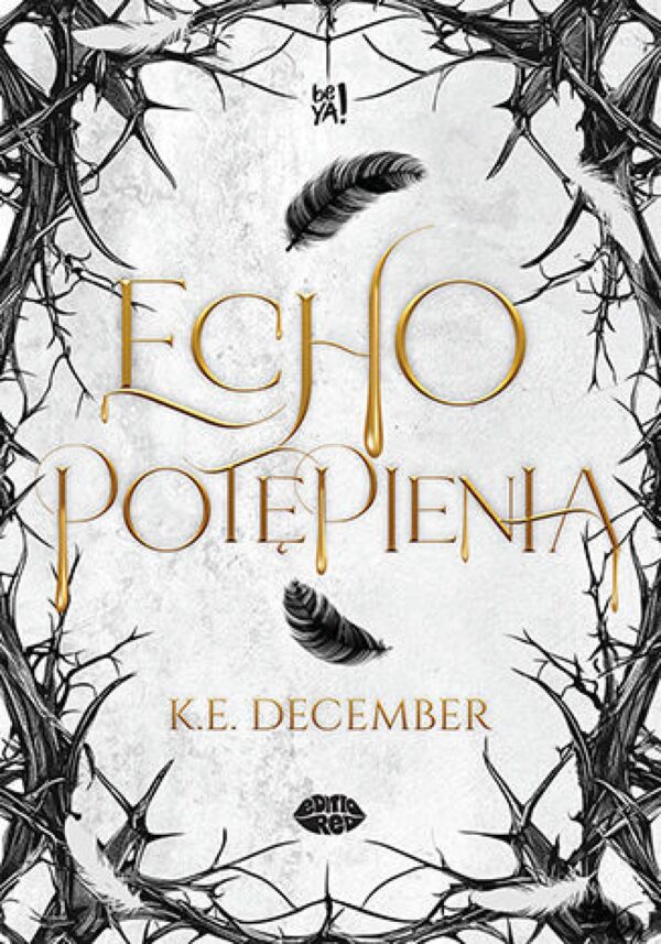 Echo potępienia — okładka e-booka