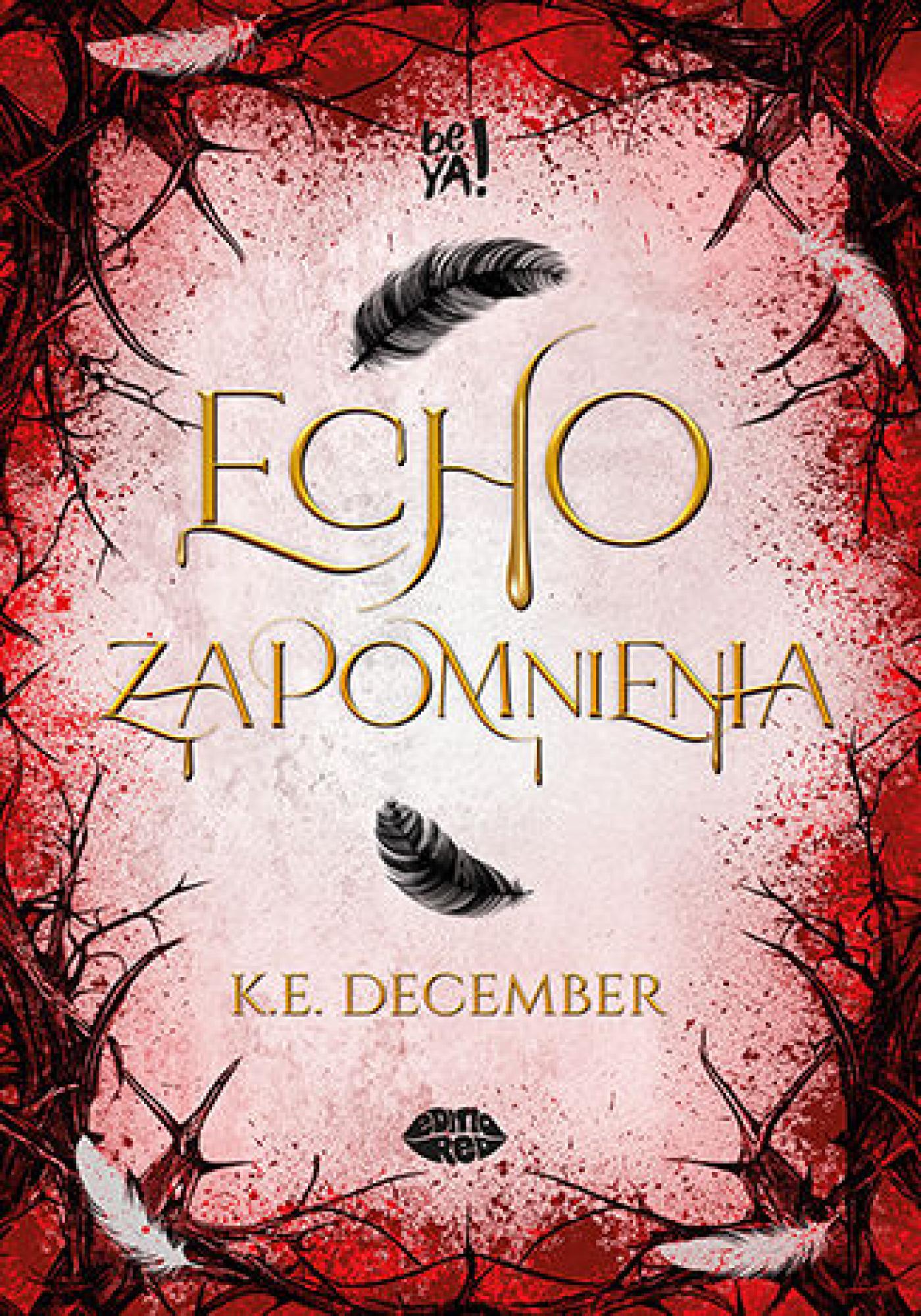 Echo zapomnienia — okładka e-booka