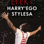 Tytuł: Efekt Harry'ego Stylesa
Autor: Keris Fox
Wydawnictwo: Wydawnictwo YaNa
Formaty: EPUB, MOBI