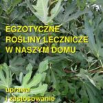 Tytuł: Egzotyczne rośliny lecznicze w naszym domu
Autor: Andrzej Sarwa
Wydawnictwo: Armoryka
Formaty: EPUB, MOBI