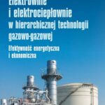 Tytuł: Elektrownie i elektrociepłownie w hierarchicznej technologii gazowo-gazowej
Autor: Ryszard Bartnik
Wydawnictwo: Wydawnictwo Naukowe PWN
Formaty: EPUB, MOBI