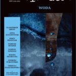 Tytuł: eleWator 21 (3/2017)
Autor: Praca zbiorowa
Wydawnictwo: Forma
Formaty: PDF