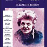 Tytuł: eleWator 28 (2/2019)
Autor: Praca zbiorowa
Wydawnictwo: Forma
Formaty: PDF