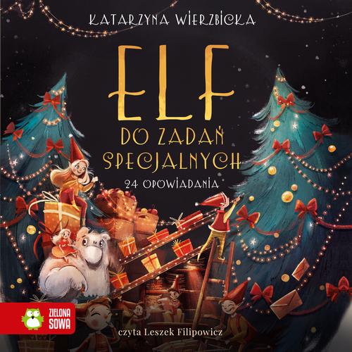 Tytuł: Elf do zadań specjalnych
Autor: Katarzyna Wierzbicka
Wydawnictwo: Zielona Sowa
Formaty: MP3
