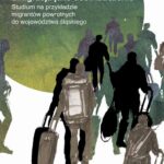 Emigracja jako doświadczenie. Studium na przykładzie migrantów powrotnych do województwa śląskiego — okładka e-booka