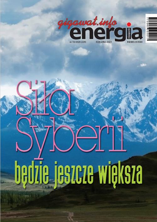 Tytuł: Energia Gigawat 10/2020
Autor: zespół autorów
Wydawnictwo: AGENT PR Sylwester Wolak
Formaty: PDF