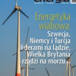 Tytuł: Energia Gigawat 5-6/2022
Autor: zespół autorów
Wydawnictwo: AGENT PR Sylwester Wolak
Formaty: PDF