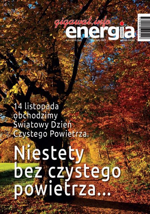 Tytuł: Energia Gigawat nr 11/2018
Autor: Sylwester Wolak
Wydawnictwo: Wydawnictwo Naukowe E Book
Formaty: PDF