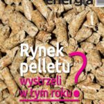 Tytuł: Energia Gigawat nr 3/2020
Autor: Sylwester Wolak
Wydawnictwo: Wydawnictwo Naukowe E Book
Formaty: PDF