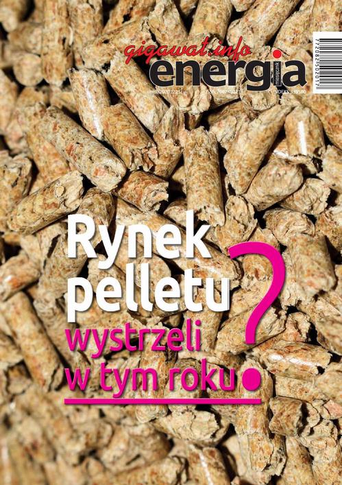 Tytuł: Energia Gigawat nr 3/2020
Autor: Sylwester Wolak
Wydawnictwo: Wydawnictwo Naukowe E Book
Formaty: PDF