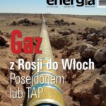 Tytuł: Energia Gigawat nr 6-7/2017
Autor: Sylwester Wolak
Wydawnictwo: Wydawnictwo Naukowe E Book
Formaty: PDF