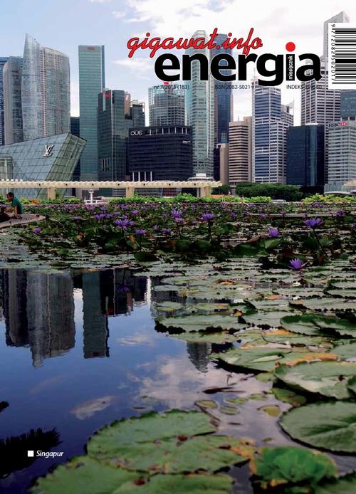Tytuł: Energia Gigawat nr 7/2015
Autor: Sylwester Wolak
Wydawnictwo: Wydawnictwo Naukowe E Book
Formaty: PDF