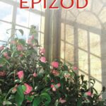 Epizod — okładka e-booka