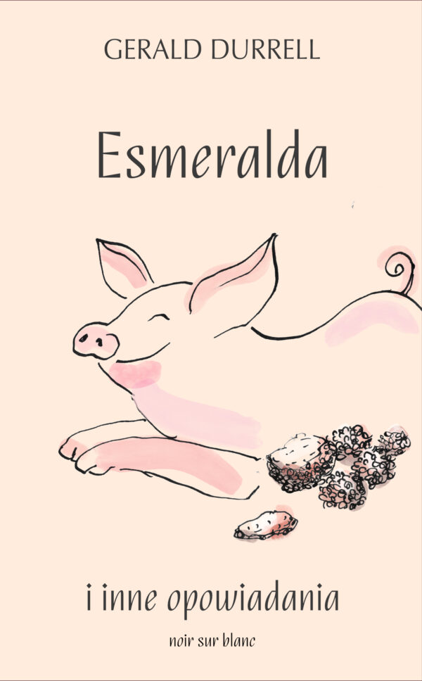 Esmeralda i inne opowiadania — okładka e-booka