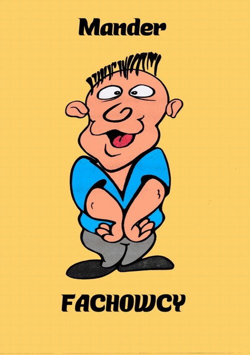 Fachowcy — okładka e-booka