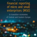 Financial reporting of micro and small enterprises (MSE) in transition economies of Central and Eastern Europe — okładka e-booka