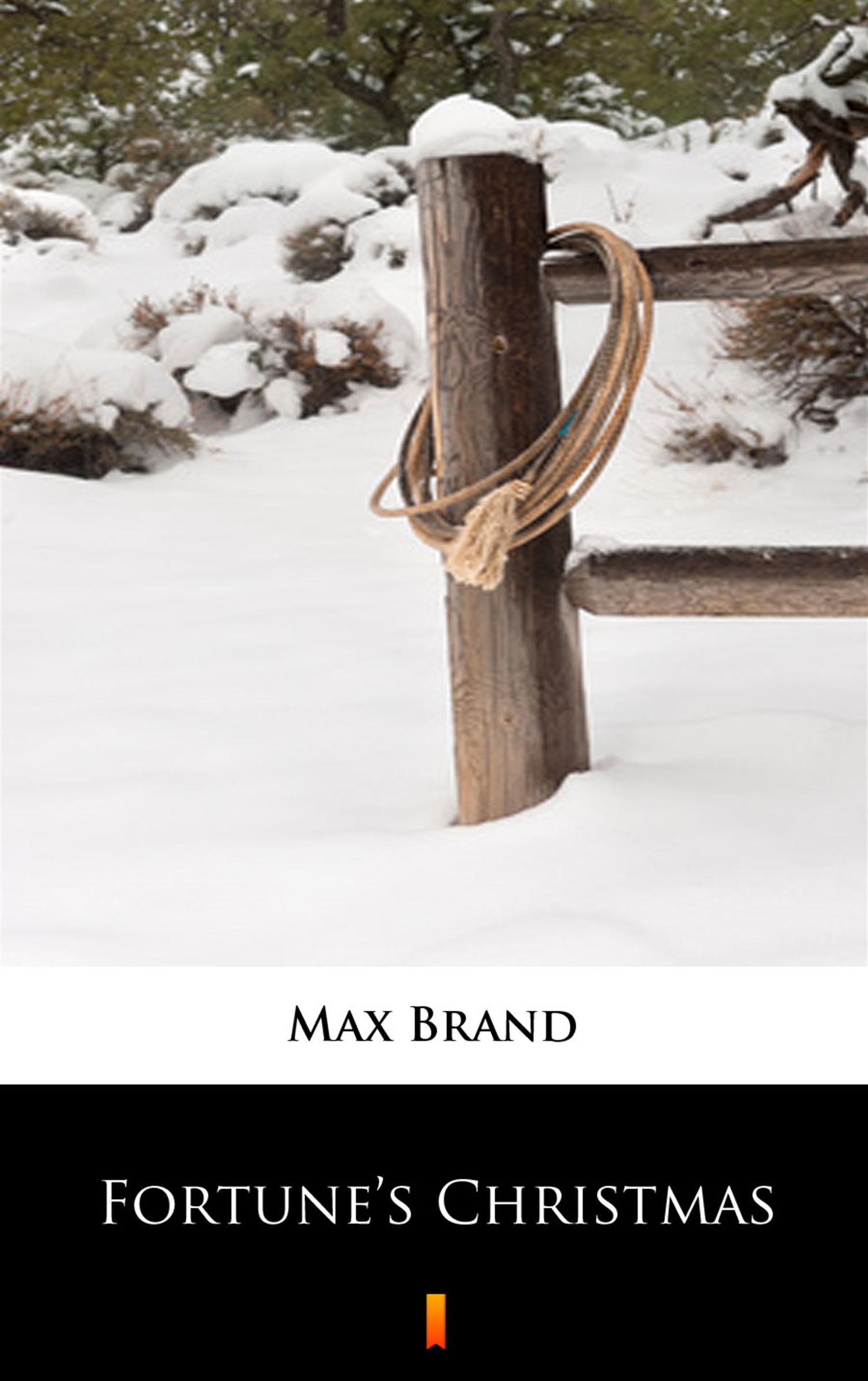 Tytuł: Fortune’s Christmas
Autor: Max Brand
Wydawnictwo: KtoCzyta.pl
Formaty: EPUB, MOBI