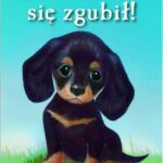 Tytuł: Fred się zgubił
Autor: Holly Webb
Wydawnictwo: Zielona Sowa
Formaty: MOBI, EPUB