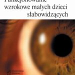 Tytuł: Funkcjonowanie wzrokowe małych dzieci słabowidzących
Autor: Małgorzata Walkiewicz-Krutak
Wydawnictwo: Akademia Pedagogiki Specjalnej
Formaty: PDF