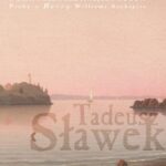 Tytuł: Furia i szlachetniejszy rozum. Próby o "Burzy" Williama Szekspira
Autor: Tadeusz Sławek
Wydawnictwo: Wydawnictwo Uniwersytetu Śląskiego
Formaty: PDF