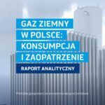 GAZ ZIEMNY W POLSCE: KONSUMPCJA I ZAOPATRZENIE polityka gospodarcza--ekonomia--bezpieczeństwo — okładka e-booka