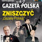 Tytuł: Gazeta Polska 14/06/2017
Autor: 
Wydawnictwo: Niezależne Wydawnictwo Polskie Sp. z o.o
Formaty: PDF