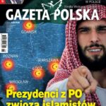 Tytuł: Gazeta Polska 28/06/2017
Autor: 
Wydawnictwo: Niezależne Wydawnictwo Polskie Sp. z o.o
Formaty: PDF