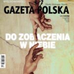 Tytuł: Gazeta Polska 31/10/2017
Autor: 
Wydawnictwo: Niezależne Wydawnictwo Polskie Sp. z o.o
Formaty: PDF