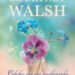Tytuł: Gdyby się nie wydarzyło
Autor: Courtney Walsh
Wydawnictwo: Dreams
Formaty: MOBI, EPUB