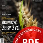 Tytuł: Głos Ojca Pio nr 2 (122) marzec/kwiecień 2020
Autor: Praca zbiorowa
Wydawnictwo: Serafin
Formaty: PDF