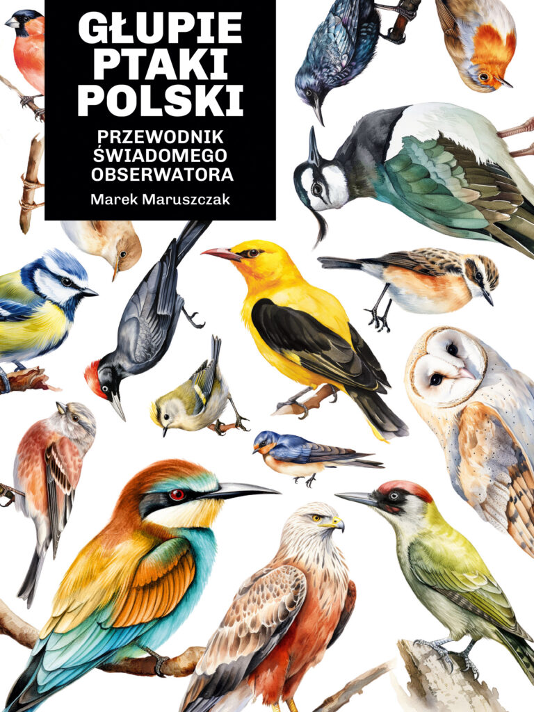 Tytuł: Głupie ptaki Polski. Przewodnik świadomego obserwatora
Autor: Marek Maruszczak
Wydawnictwo: Koncept
Formaty: EPUB, MOBI