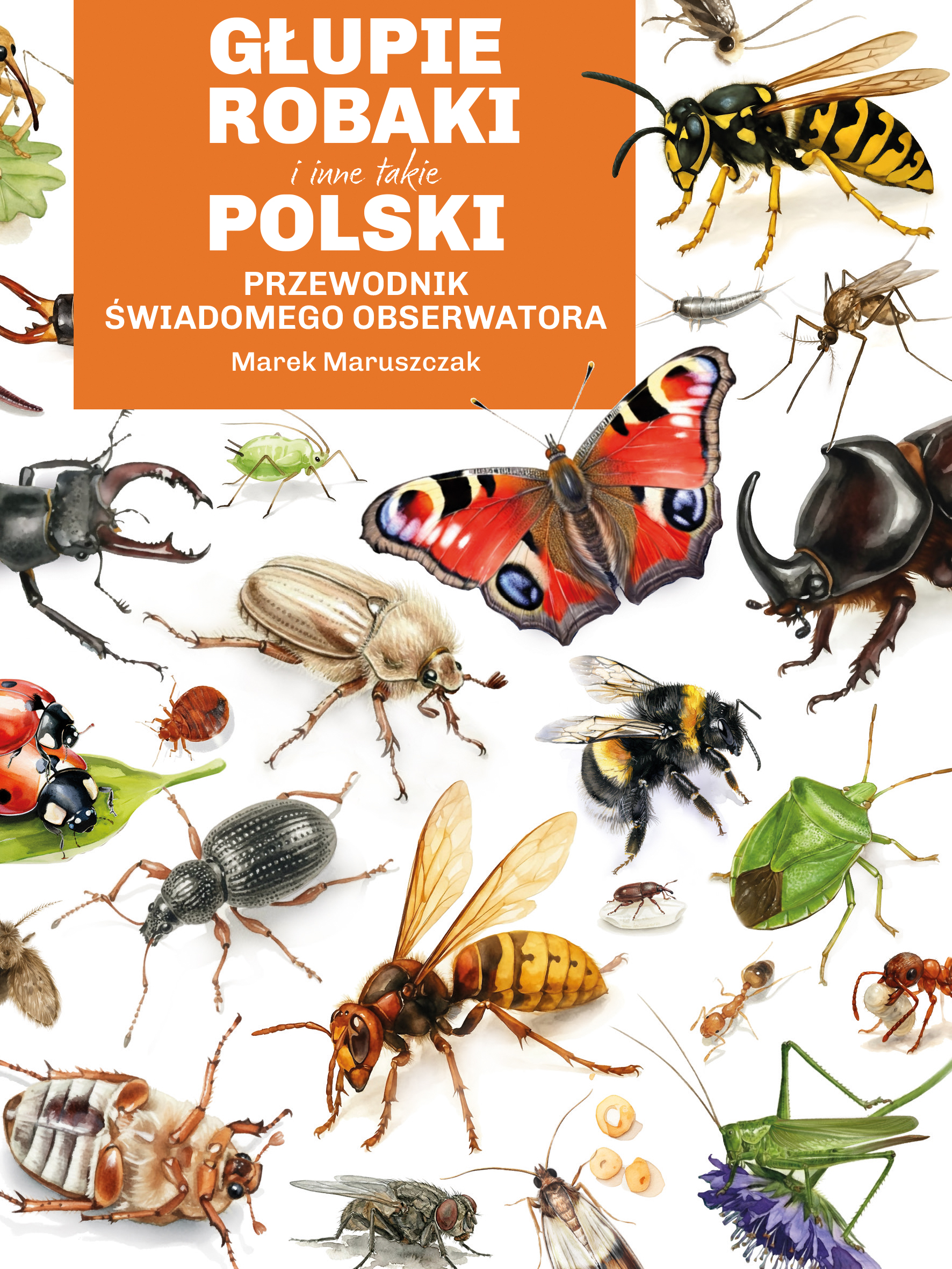 Tytuł: Głupie robaki i inne takie Polski
Autor: Marek Maruszczak
Wydawnictwo: Koncept
Formaty: EPUB, MOBI