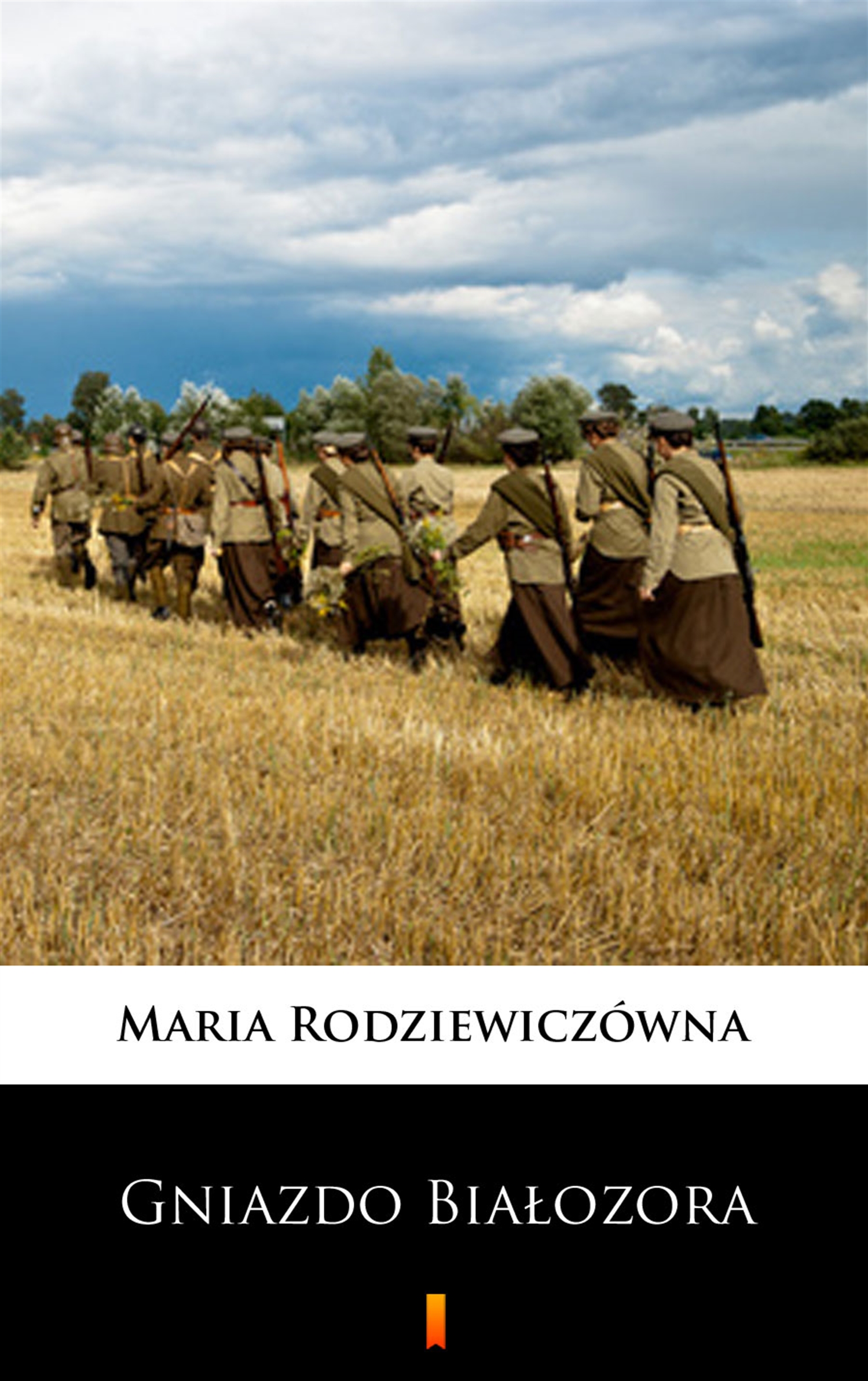 Tytuł: Gniazdo Białozora
Autor: Maria Rodziewiczówna
Wydawnictwo: KtoCzyta.pl
Formaty: EPUB, MOBI