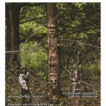 Tytuł: Gniazdo. Rodzima wiara i kultura nr 2(27)/2022
Autor: 
Wydawnictwo: Wydawnictwo Naukowe E Book
Formaty: PDF