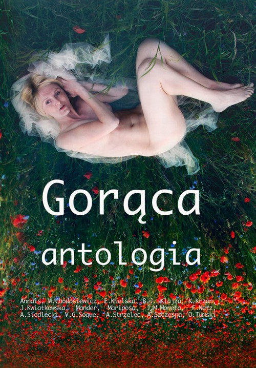 Tytuł: Gorąca antologia
Autor: Strefa Autora
Wydawnictwo: Wydawnictwo e-bookowo
Formaty: EPUB, PDF, MOBI