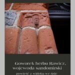 Goworek herbu Rawicz, wojewoda sandomierski powieść z widoku we śnie — okładka e-booka