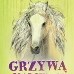 Tytuł: Grzywą malowane
Autor: Agata Widzowska
Wydawnictwo: Dreams
Formaty: MOBI, EPUB