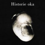 Tytuł: Historie oka
Autor: Tomasz Swoboda
Wydawnictwo: Słowo/Obraz Terytoria
Formaty: MOBI, EPUB