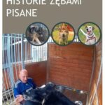Historie zębami pisane — okładka e-booka