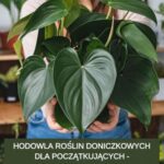 Tytuł: Hodowla roślin doniczkowych dla początkujących – Jak uprawiać rośliny w małym mieszkaniu
Autor: Przemysław Gmerek
Wydawnictwo: Przemysław Gmerek
Formaty: MOBI, PDF, EPUB