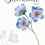 Tytuł: Identical
Autor: Aleksandra Negrońska
Wydawnictwo: NieZwykłe
Formaty: EPUB, MOBI