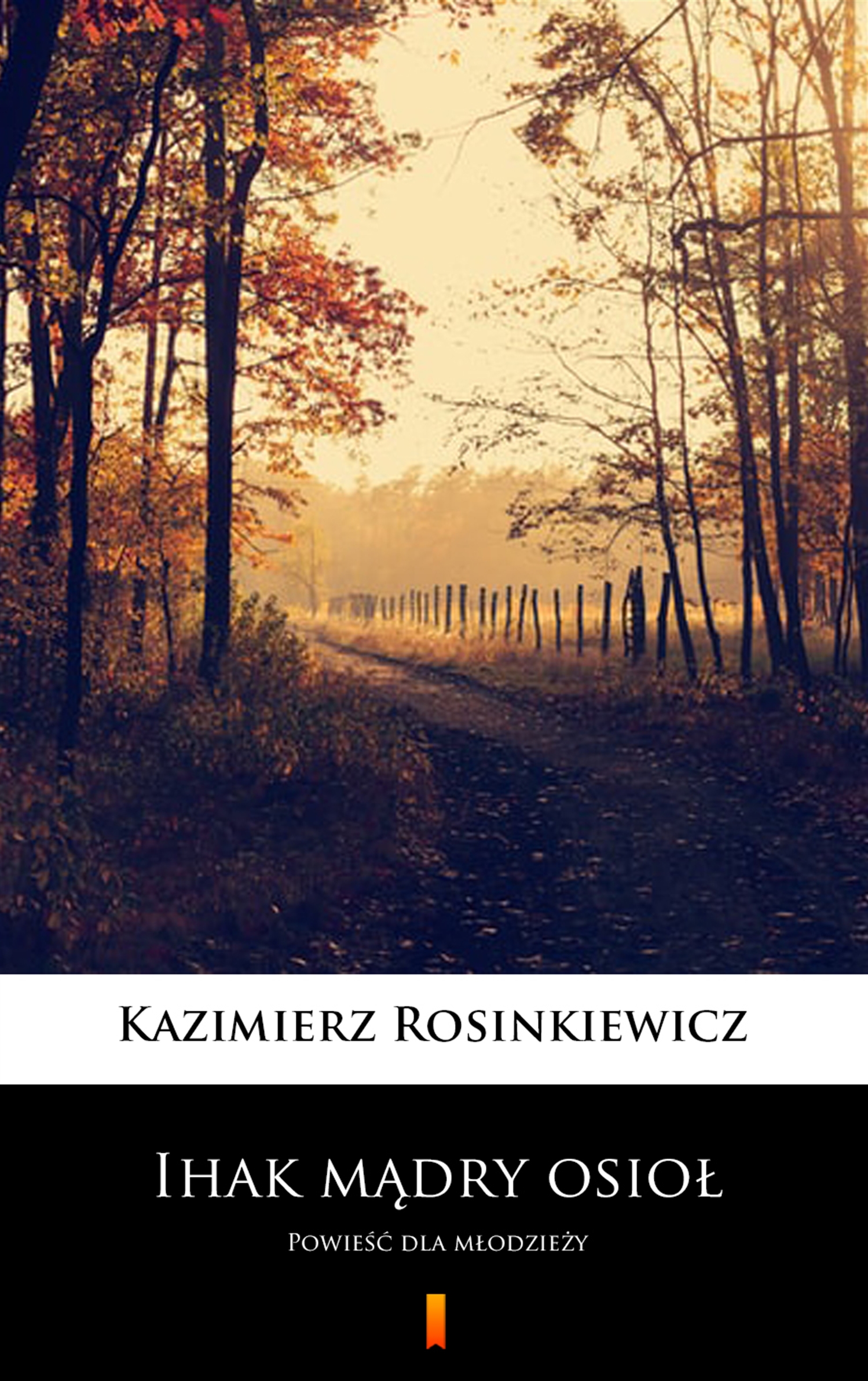 Ihak mądry osioł. Powieść dla młodzieży — okładka e-booka