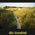 Tytuł: Ilko Szwabiuk
Autor: Abgar Sołtan
Wydawnictwo: Armoryka
Formaty: EPUB, MOBI
