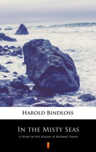 In the Misty Seas. A Story of the Sealers of Behring Strait — okładka e-booka
