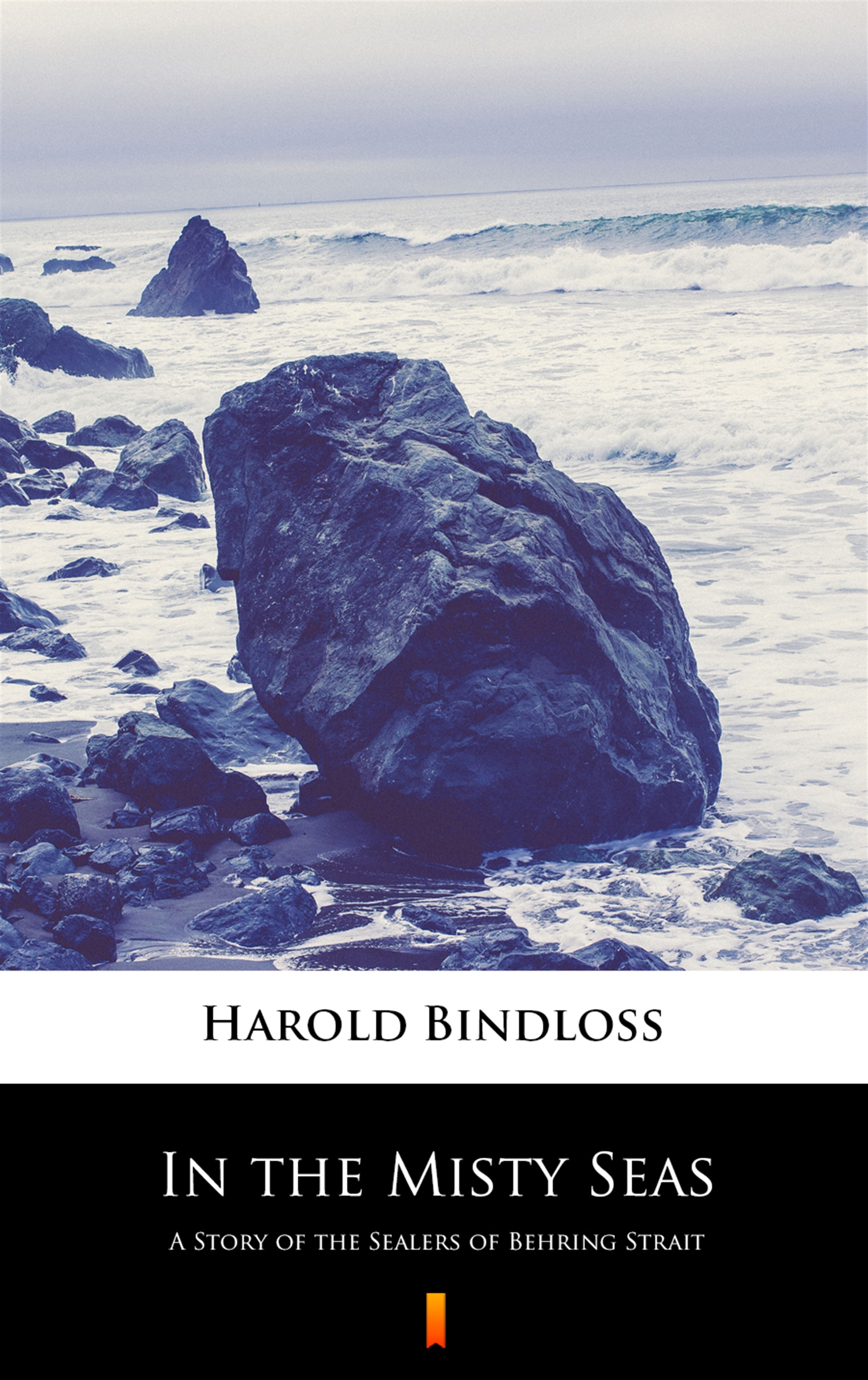 In the Misty Seas. A Story of the Sealers of Behring Strait — okładka e-booka