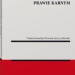 Instytucja przepadku w polskim prawie karnym — okładka e-booka
